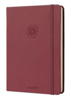 Agenda Antartik