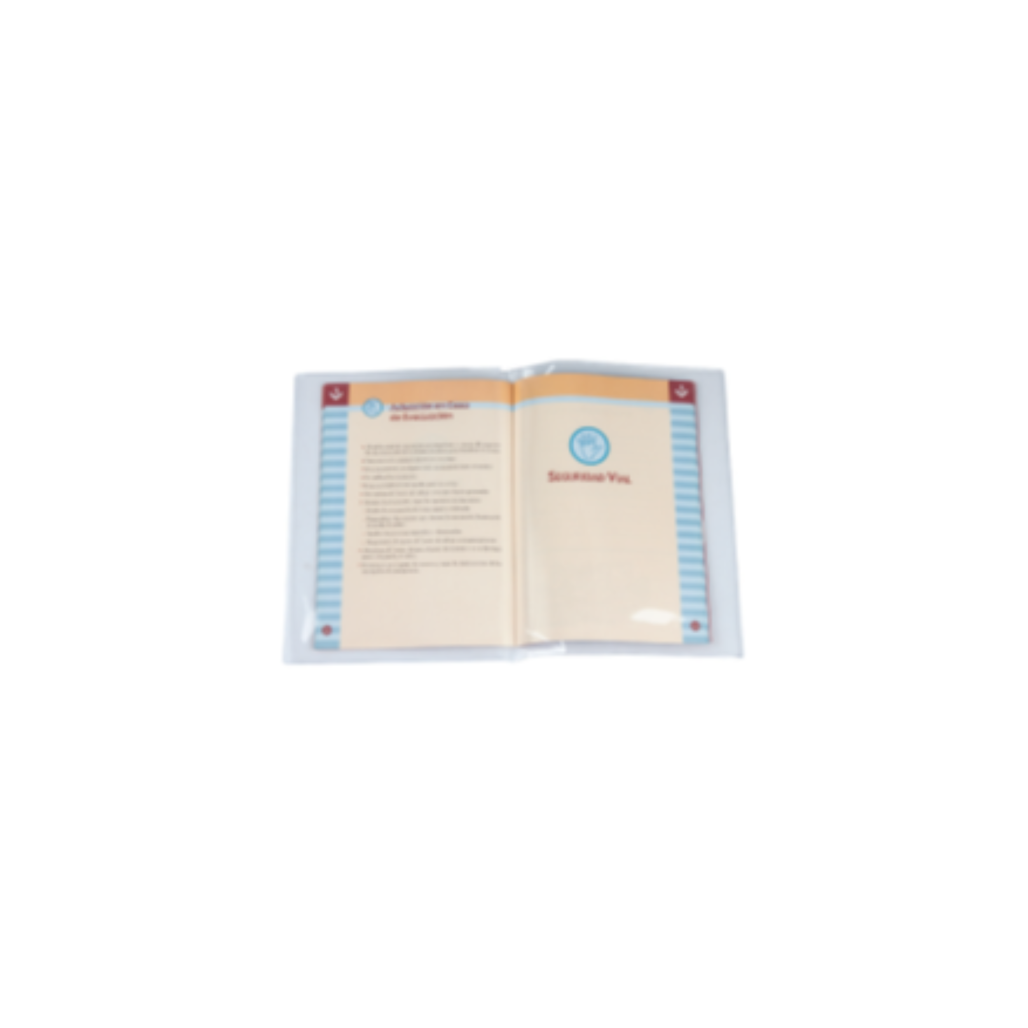Bolsa Catálogo Porta Documentos Fólio Duplo 470 x 330 mm