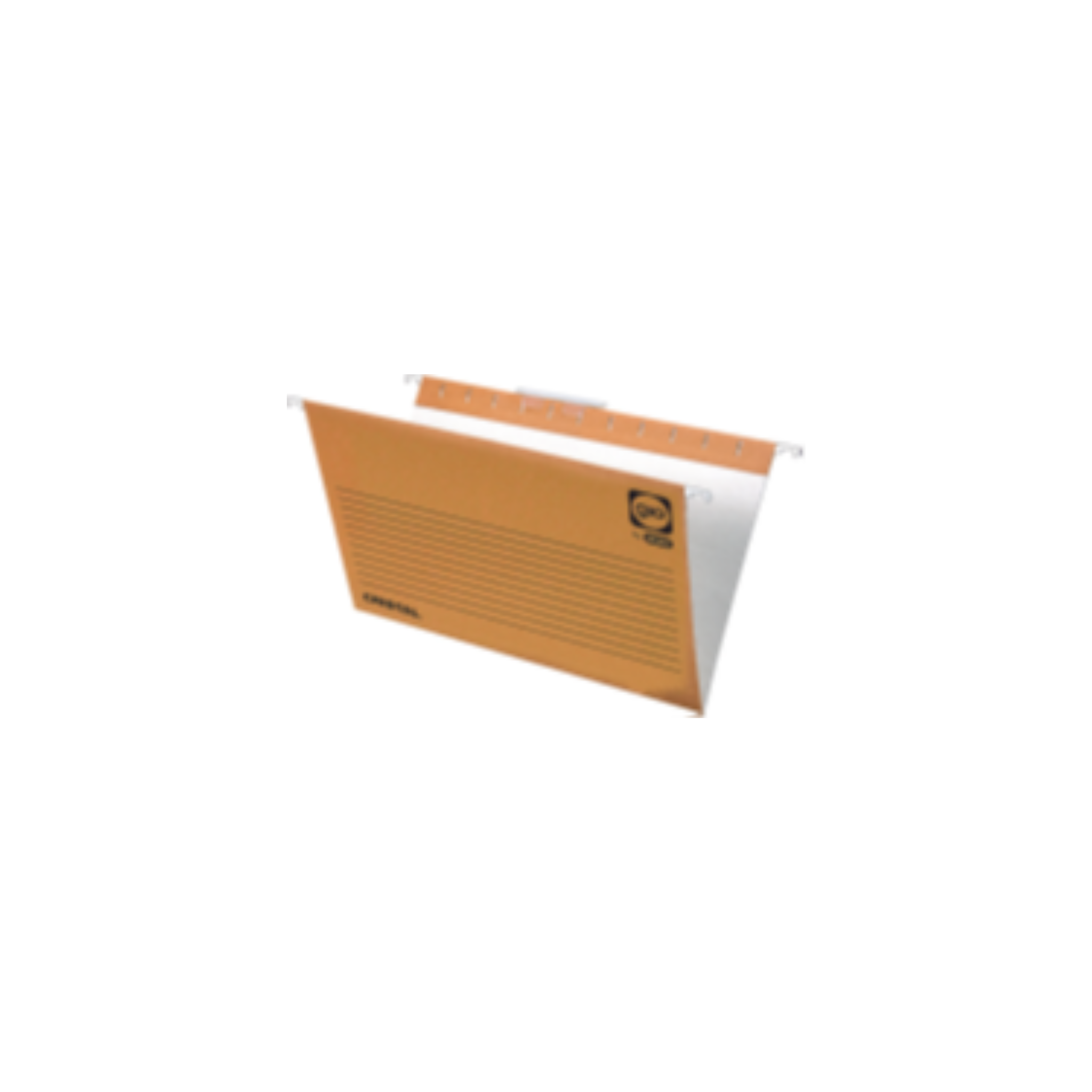 Capa de Arquivo de Suspensão com Visor Superior