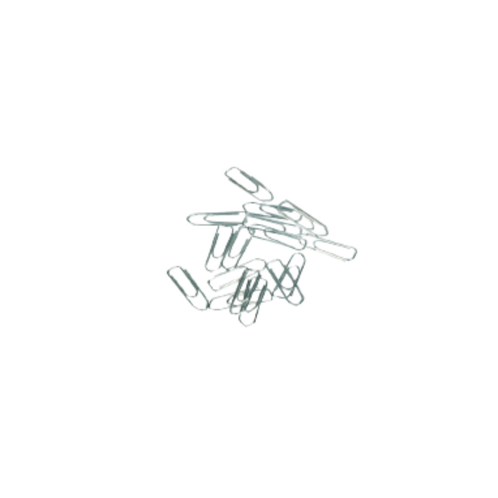 Clips Niquelados