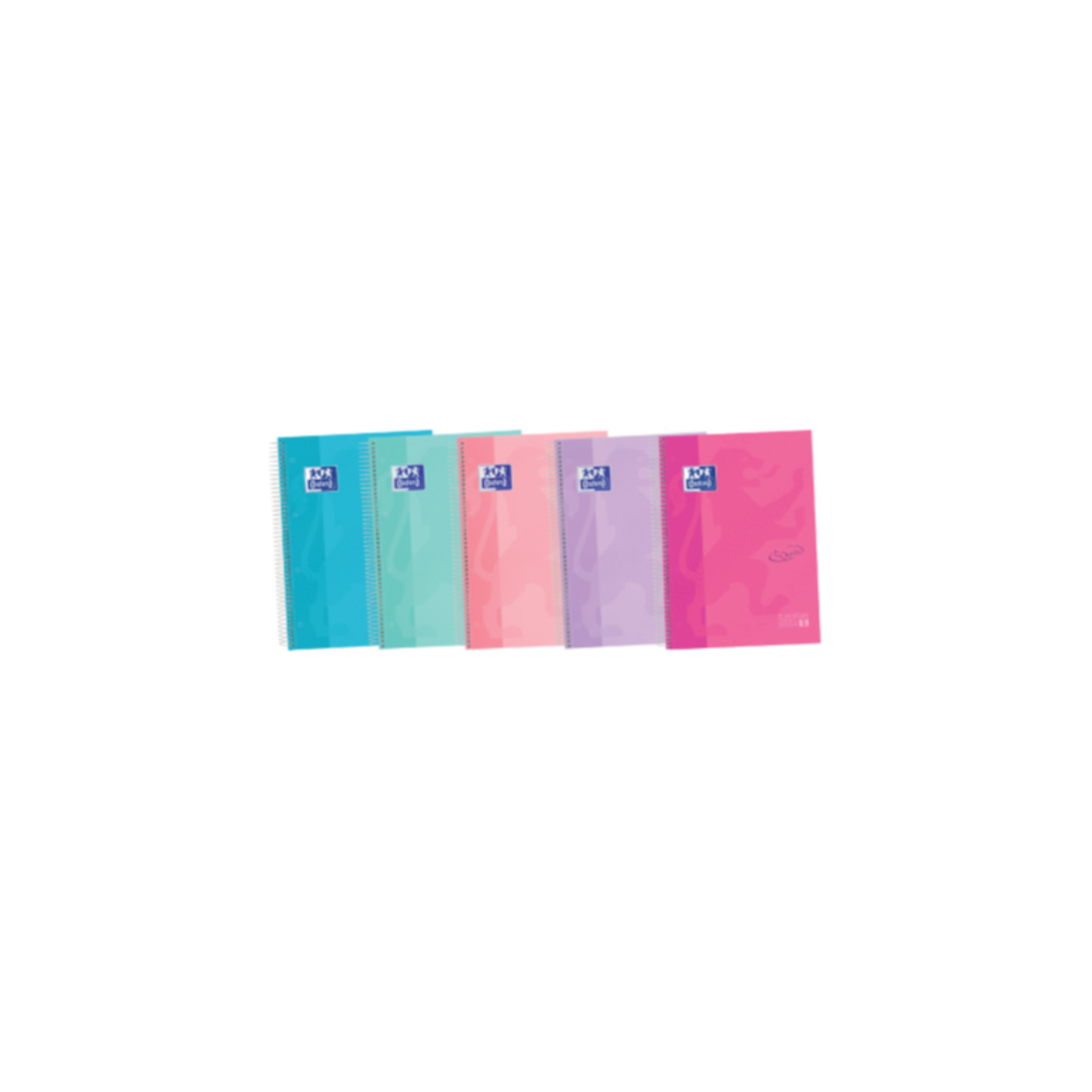 Capa Dura Europeanbook Touch / Oxford