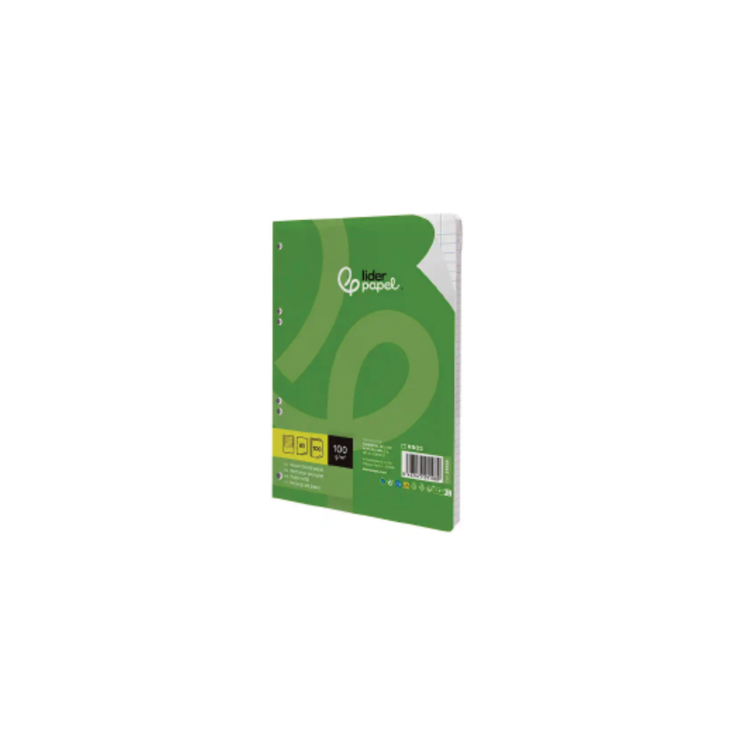 Recarga de Anéis 100g/m² 100 Folhas