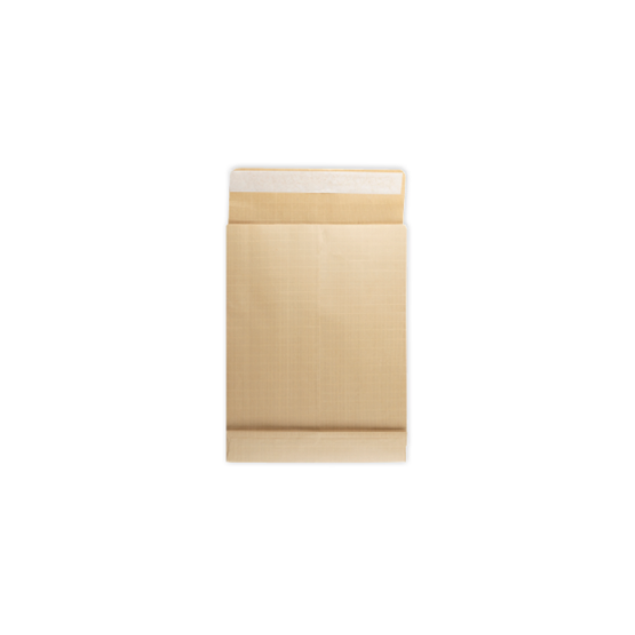 Envelope Bolsa Radiografia