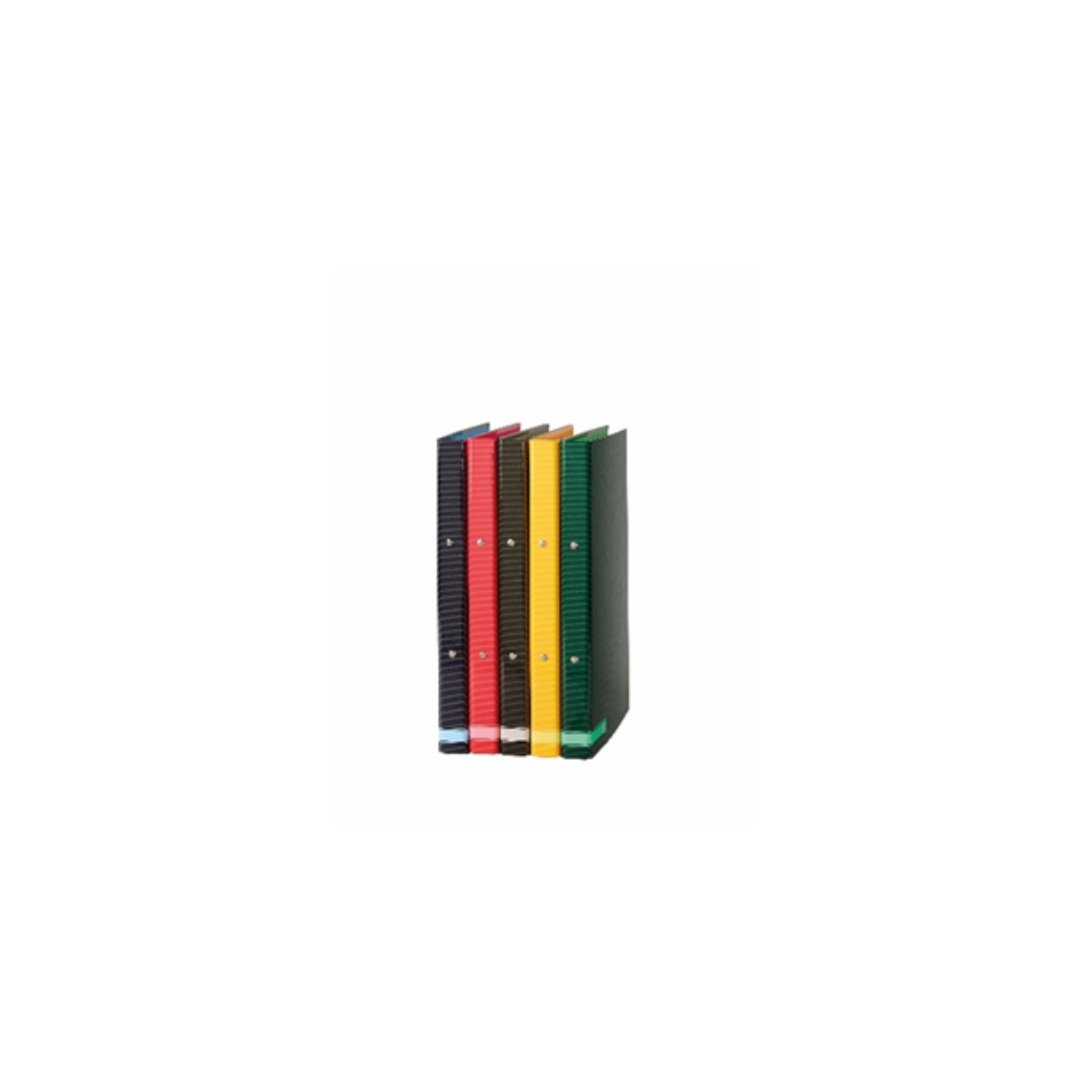 Pasta 20mm Cores Ancor