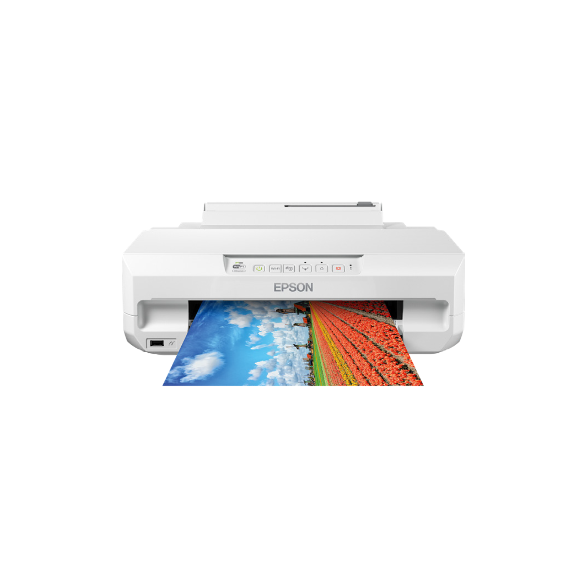 EPSON – Expression Photo XP-65