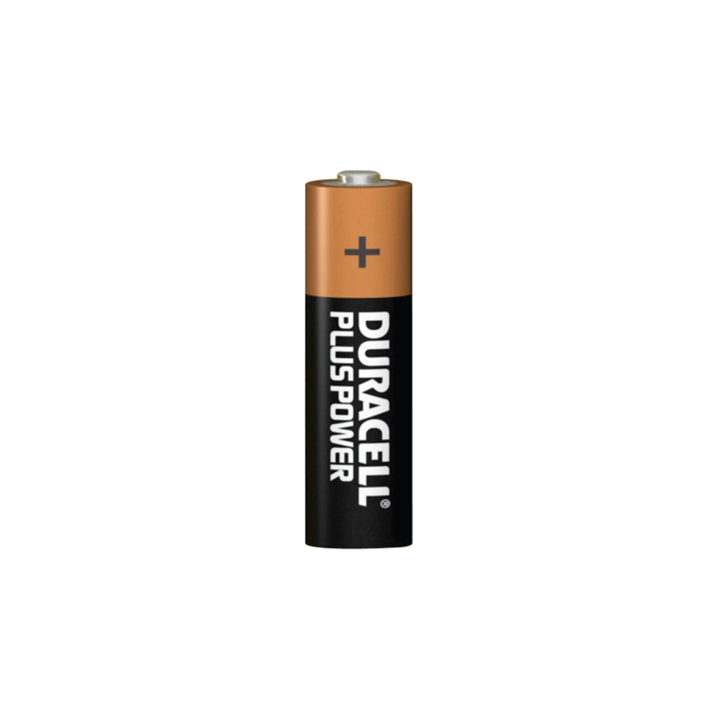 Pilha Alcalina PLUS Power