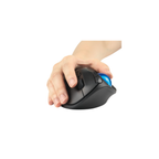 Rato sem Fios Ergonómico